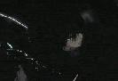 kenslicehalf.gif