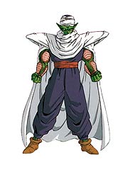 piccolo-1.jpg