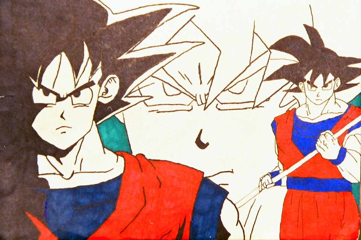 ssj6cgoku-01.jpeg